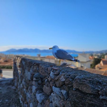 Sweet Azur - Host Provence Apartment Ле Кане Екстериор снимка